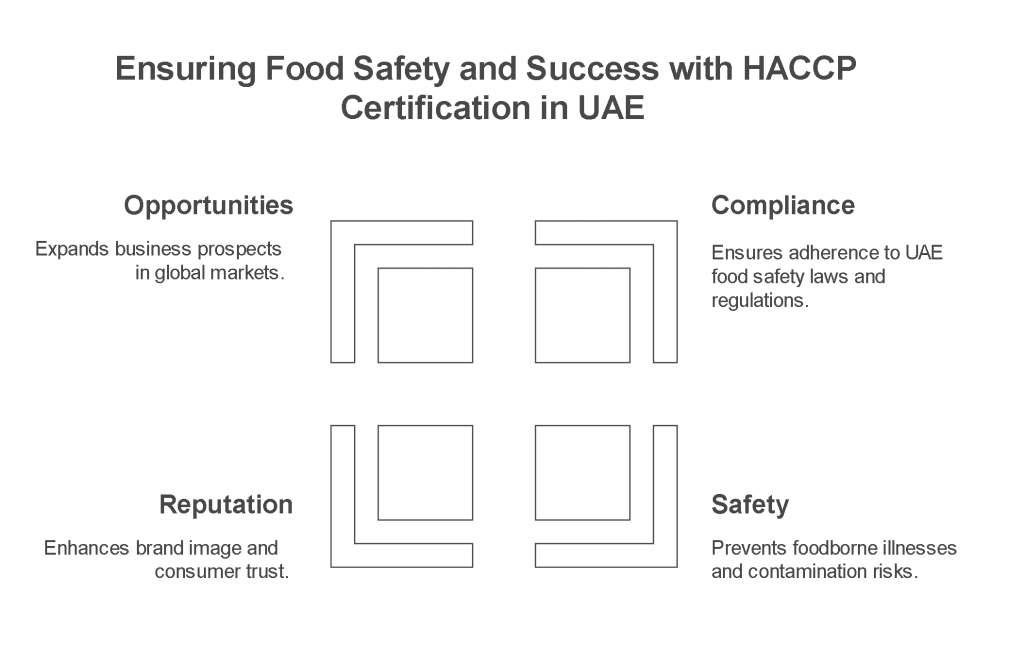 Ensuring Food Safety and Success with HACCP Certification in UAE